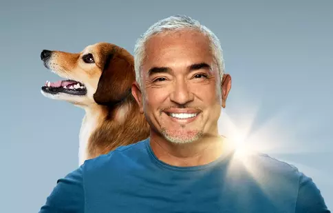 Care sunt premierele lunii august 2022 la National Geographic și National Geographic Wild