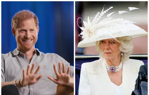 De ce prințul Harry nu are „niciun interes” să aibă o relație bună cu mama lui vitregă, ducesa Camilla