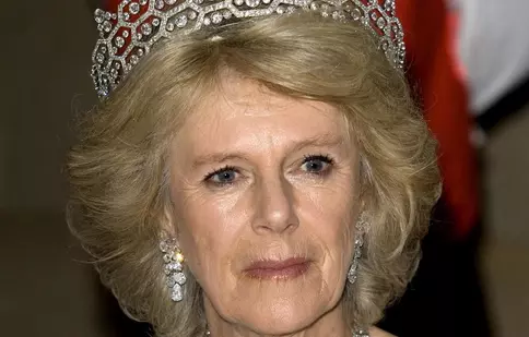 Ascensiunea Camillei: de la amantă regală, la regină consoartă