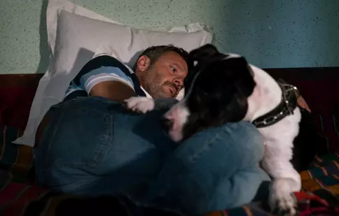 „Om Câine”, cu Ofelia Popii și Bogdan Dumitrache în rolurile principale, intră de vineri la cinema