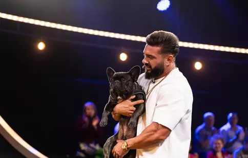 Incident neprevăzut la Stand-Up Revolution Celebrity. Câinele lui Dorian Popa l-a mușcat pe Șerban Copoț. „Îmi sun avocatul”