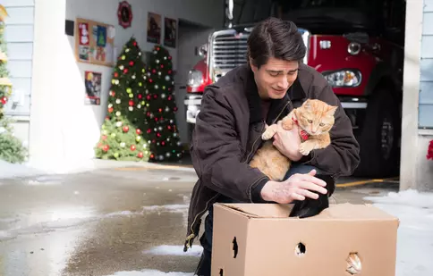 Filme de Crăciun la DIVA, decembrie 2022. Ce a programat postul TV în perioada 18-25 decembrie