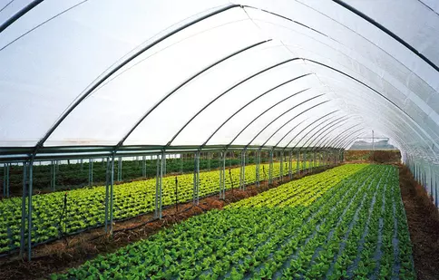 Grădinăritul inteligent: Cum să alegi cele mai bune articole și unelte pentru grădina ta