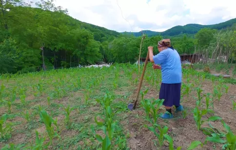 Asta-i România!, 25 iunie 2023. Un vis îndepărtat pentru un cătun izolat din țara noastră