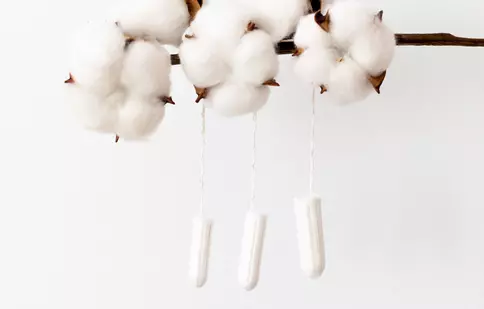 ORGANIC - O NOUĂ TENDINȚĂ ȘI ÎN PRODUSELE MENSTRUALE - ENROUSH