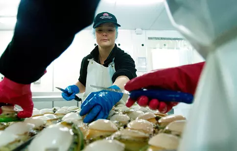 "Aurul viu al Australiei", noua emisiune Discovery, începe pe 14 iulie