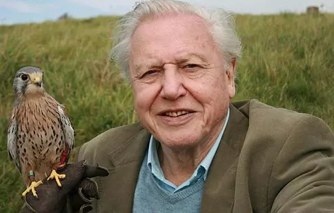 David Attenborough urmăreşte evoluţia zborului la Sky