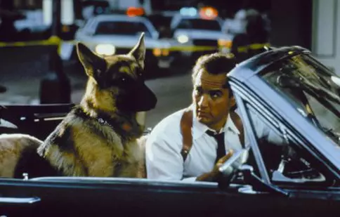 Nume de cod: K-9