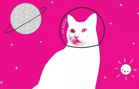 Anim’est 2016 invită copiii la Minimest. Ce filme sunt programate pentru cei mici