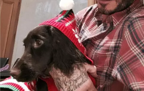 Ce animale de companie şi-au ales vedetele tale preferate