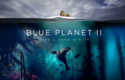 Radiohead și Hans Zimmer colaborează pentru coloana sonoră a documentarului „Planeta albastră II”