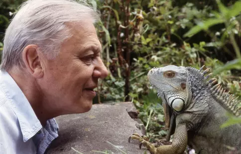 Pe vremea când David Attenborough nu era „Sir”. Cum și-a început cariera celebrul naturalist britanic