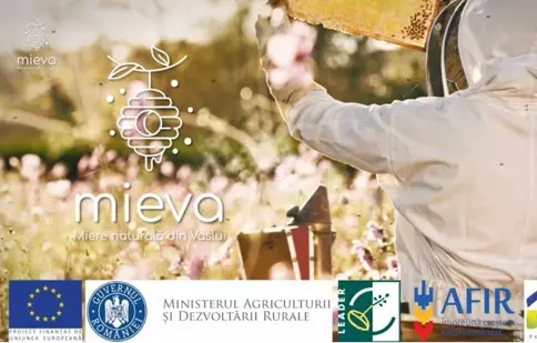 5 motive să cumperi miere naturală