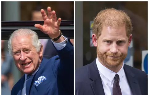 Regele Charles al III-lea este măcinat de regrete. Ce își reproșează în privința relației pe care o are cu fiul său, Harry