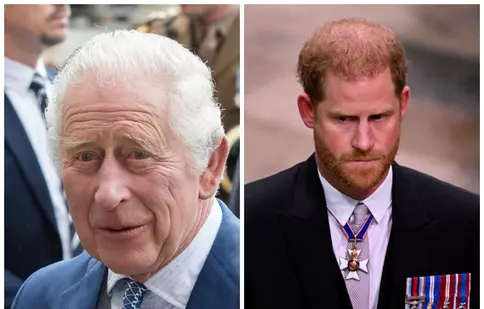 Prințul Harry se întoarce în Marea Britanie fără Meghan Markle. Regele Charles nu plănuiește să-și revadă propriul fiu