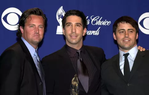 David Schwimmer (Ross) nu a văzut nici măcar un singur episod din „Friends”. Cine l-a convins să se uite, în cele din urmă