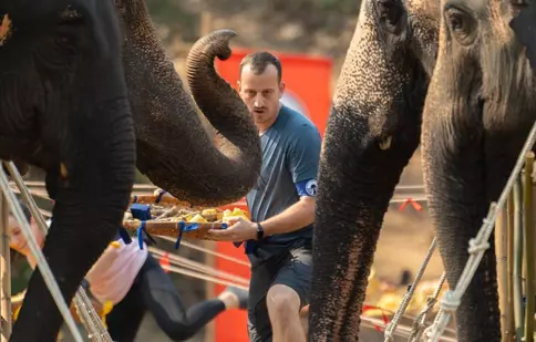 Mane Voicu s-a accidentat la Asia Express 2024. A fost doborât de elefanți. „M-au dat pe jos!”