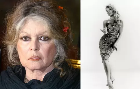 Brigitte Bardot dezminte zvonurile că ar fi murit: „Sunt bine și nu am nicio intenție să mă retrag!”. Actrița are 91 de ani