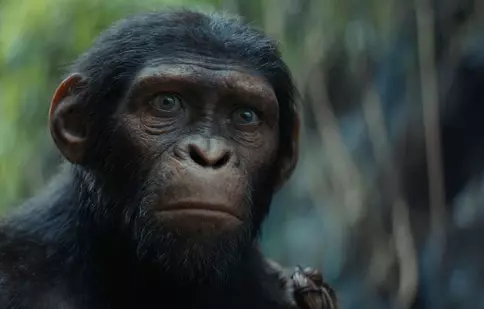 Franciza de 2 miliarde de dolari continuă: Un nou film „Planeta Maimuțelor” e oficial în lucru. Ce știm despre proiect