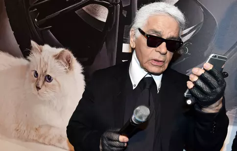 Pisica lui Karl Lagerfeld nu a primit moștenirea promisă. Ce se întâmplă cu averea lui Choupette