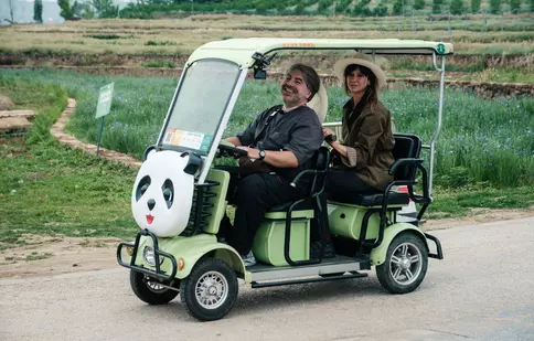 Schimb de echipe la Asia Express! Cursa cu porci și surpriza care îi așteaptă pe concurenți