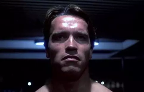 Terminatorul