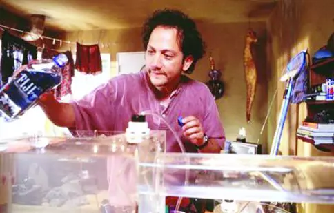 Un gigolo de doi bani