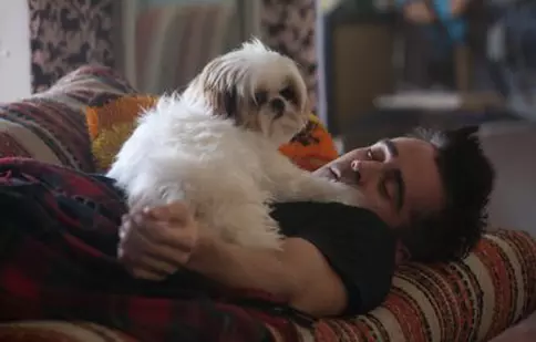 „Şapte psihopaţi şi un câine”/ „Seven Psychopaths” (2012)