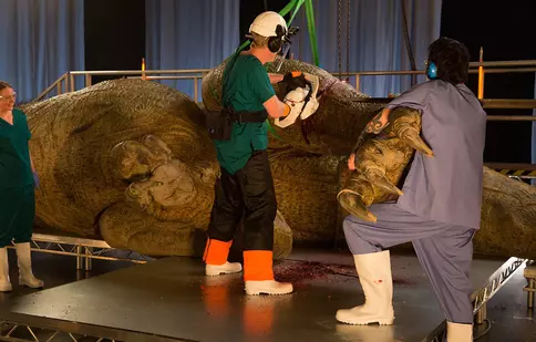„T. rex la autopsie”, difuzat în premieră de National Geographic pe 7 iunie