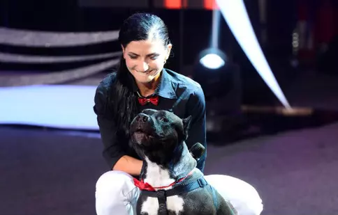 Continuă spectacolul animalelor la „Ham Talent”!