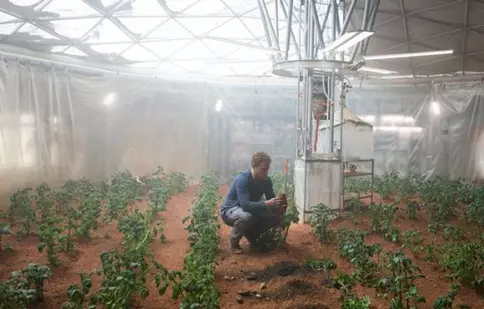 Actorul Matt Damon s-a apucat de vândut cartofi