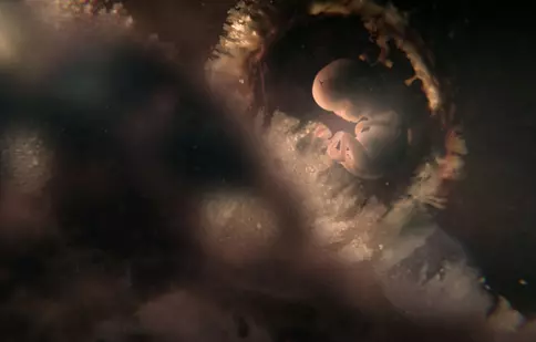 O nouă serie documentară la BBC Earth: Când începe „Nouă luni definitorii”