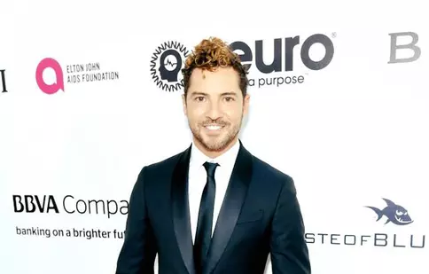 David Bisbal s-a logodit cu partenera sa, Rosanna Zanetti