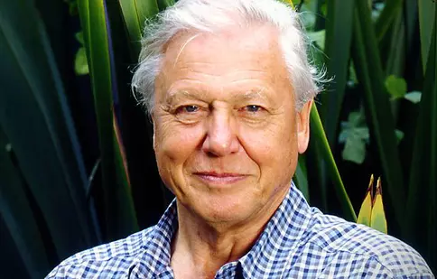 Netflix și BBC fac echipă cu Sir David Attenborough