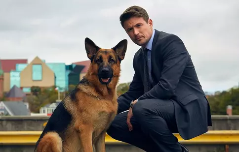 Sezonul 4 „Hudson și Rex” începe în curând la DIVA