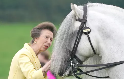 Noi detalii despre starea de sănătate a Prințesei Anne, după ce a suferit o comoție cerebrală. Ce a dezvăluit soțul ei