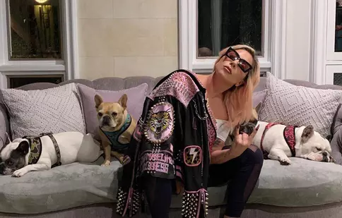 Sentința uluitoare primită de unul dintre atacatorii bărbatului care plimba câinii cântăreței Lady Gaga. Decizia e definitivă