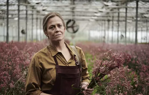 Ecranizările a șase romane de succes, de la „Florile pierdute ale lui Alice Hart” la „Tatuatorul de la Auschwitz”, ajung curând pe ecrane