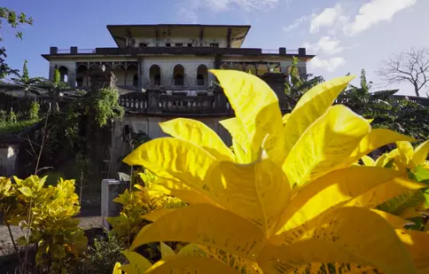 3 serii documentare noi la TV. National Geographic lansează toamna aceasta noi serii captivante pentru toate gusturile