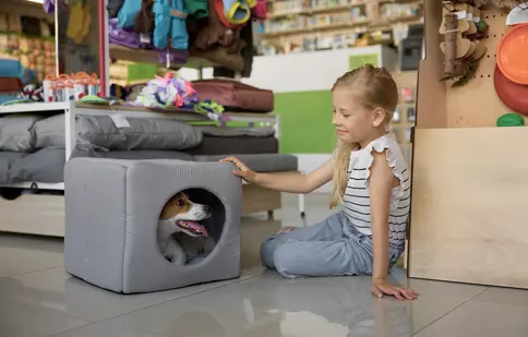 Ce să faci în primele 48 de ore după ce aduci câinele acasă