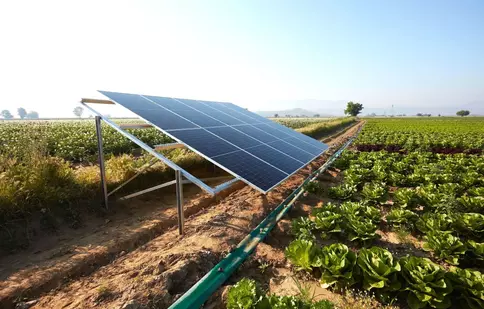 Cum să implementezi soluții solare eficiente în agricultură: alegerea unui partener de încredere