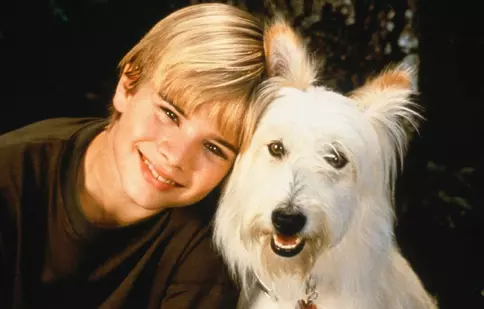 Cum arată azi David Gallagher, Simon Camden din „Al șaptelea cer”. A renunțat la actorie și are două fiice