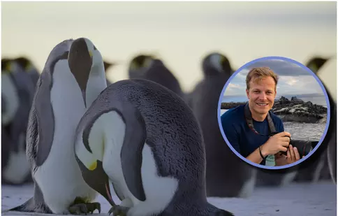 „Secretele pinguinilor”, documentarul prezentat de Bertie Gregory, de Ziua Pământului 2025. Unde îl poți vedea