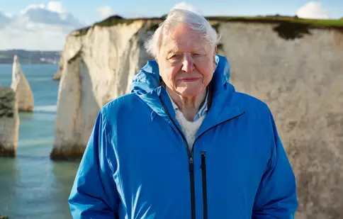 „Oceanul cu David Attenborough”. Documentarul care schimbă perspectiva asupra vieții marine, în premieră la National Geographic