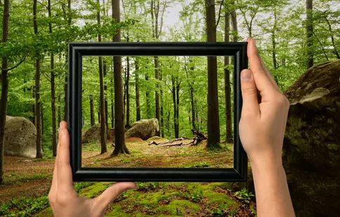 Documentarele despre natură, mai spectaculoase ca niciodată: 3 producții pe care să nu le ratezi