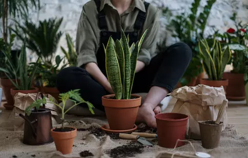 Deconectarea de la digital: 4 hobby-uri care te ajută să combați stresul și să îți regăsești creativitatea