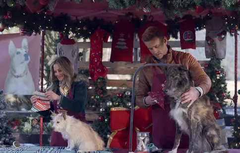 Maratonul „Crăciunul iubirii” continuă la Diva. Ce filme festive sunt programate în perioada 20-26 octombrie