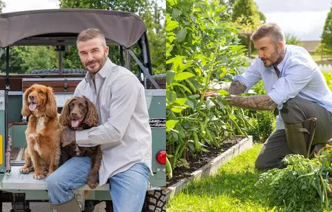 David Beckham, în rolul de fermier modern. Fanii nu au fost încântați de noua imagine: „Total ridicol”