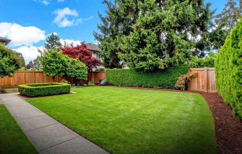 Cum să-ți transformi curtea într-un spațiu practic și modern