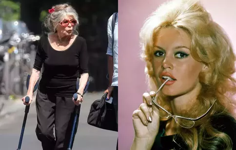 Ultima promisiune a lui Brigitte Bardot pentru fiul său nedorit, Nicolas-Jacques Charrier. Actrița a murit la 91 de ani